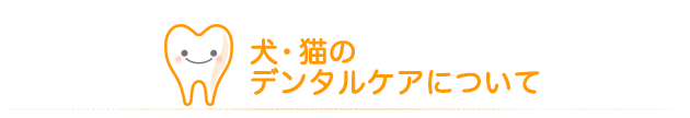 犬･猫デンタルケアについて