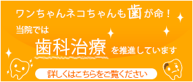 歯科治療について